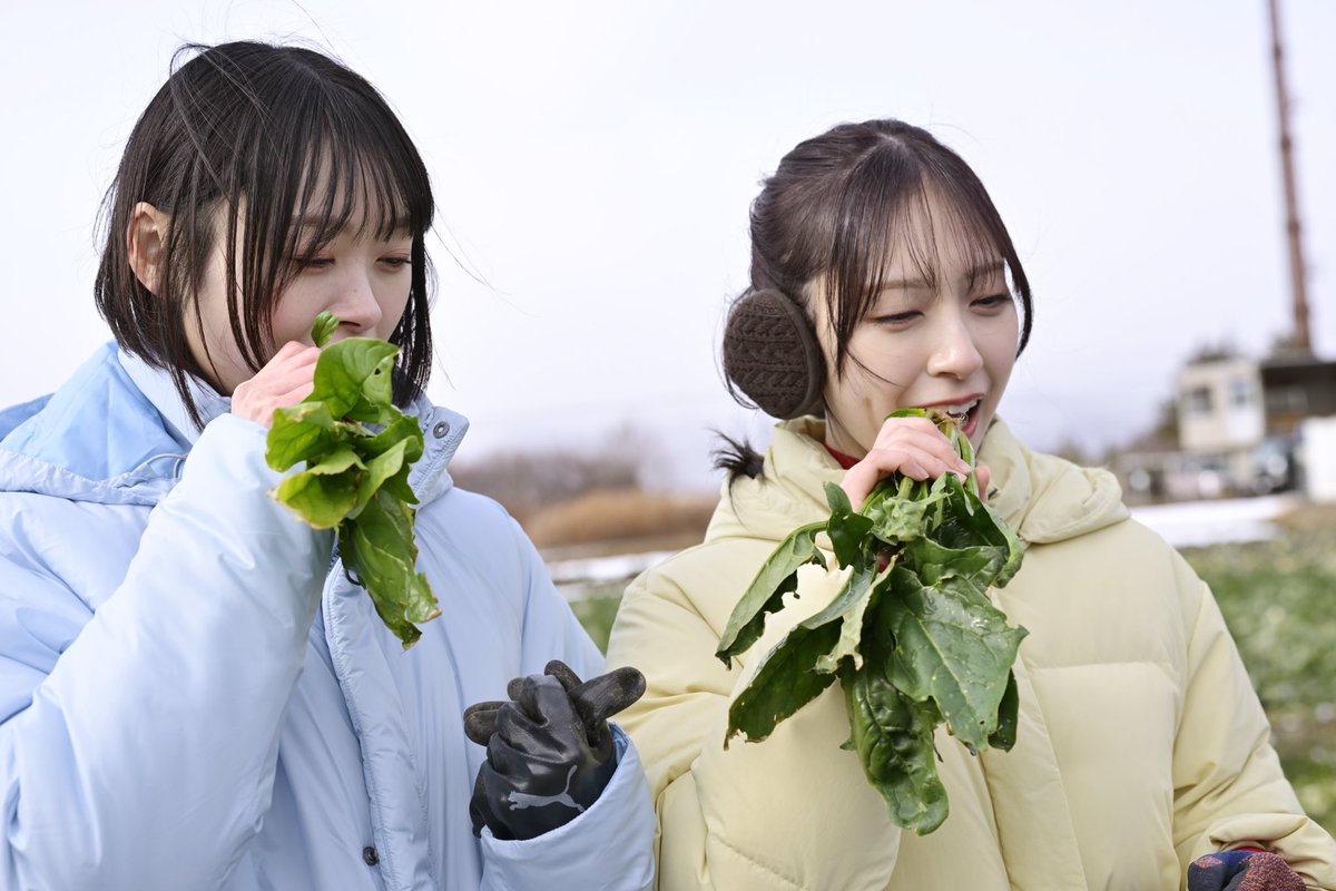 おひさま46 (@aE1FvyJygNSZ0Ds) on X