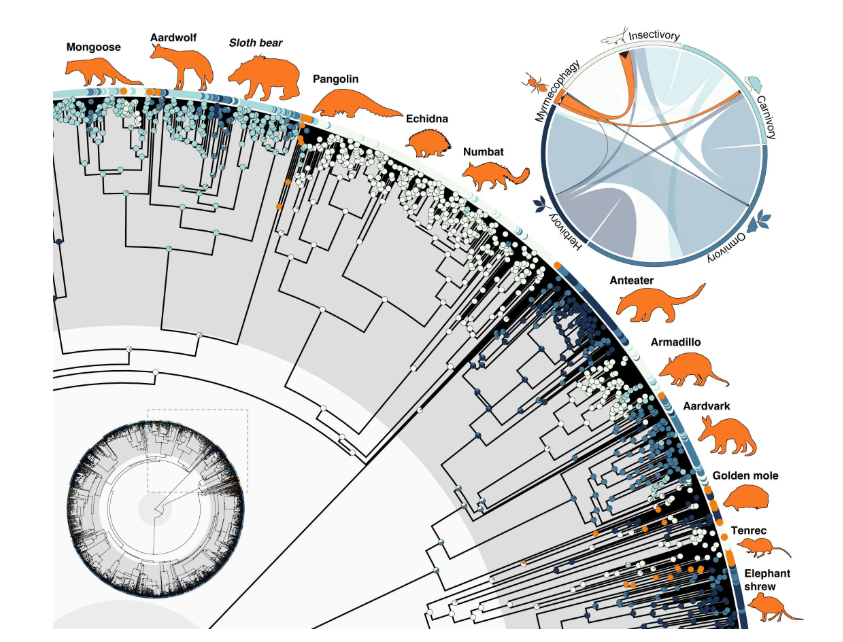 藻類農園FARMO tweet media