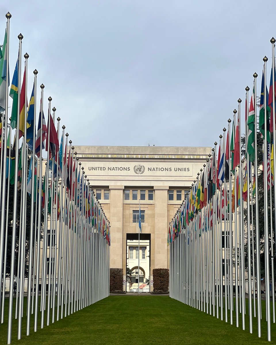 VN-Vrouwenverdrag tweet media