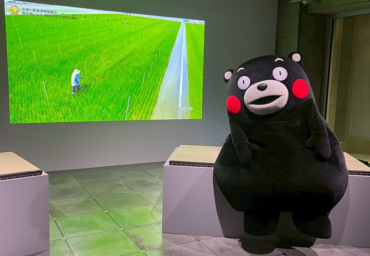 くまモン【公式】 (@55_kumamon) / Posts / X