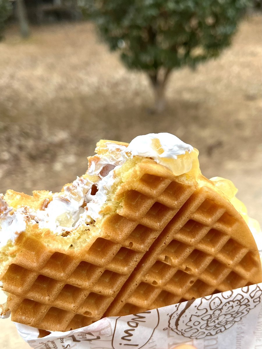 분명 두쫀쿠를 사러 가고 있던 길이었는데 갓구워서 바삭바삭하고, 부들부들 생크림 펴발라서 중간에 삭삭 씹히는 사과잼 가득 들어있는 와플을 단돈 3000원에 팔길래 나도모르게 걸음 멈추고 바로 길플함..