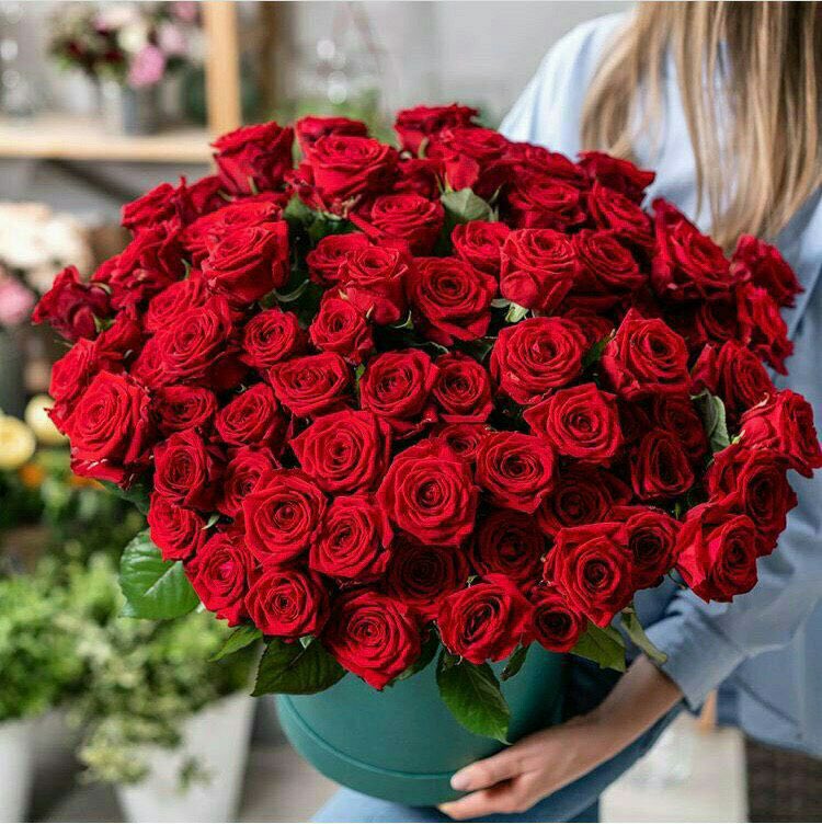 <a href="/AzizbagBag/">عبدالعزيز أحمد بغلف🇸🇦</a> 
#عبدالعزيز_أحمد_بغلف 
لا شيء يخترق القلوب 
 كلطف العبارة  وبذل الإبتسامة 
ولين الكلام  وسلامة القصد 
ونقاء القلب وغض الطرف عن الزلات 
فسلامٌ على تلك الأرواح التي نُسجت من خيوط السلام خُلقت  طيبة ،،هينة،لينة
تبعث الأرتياح  وتفيض بالوئام  بقربها تأنس القلوب 
وبرفقتها