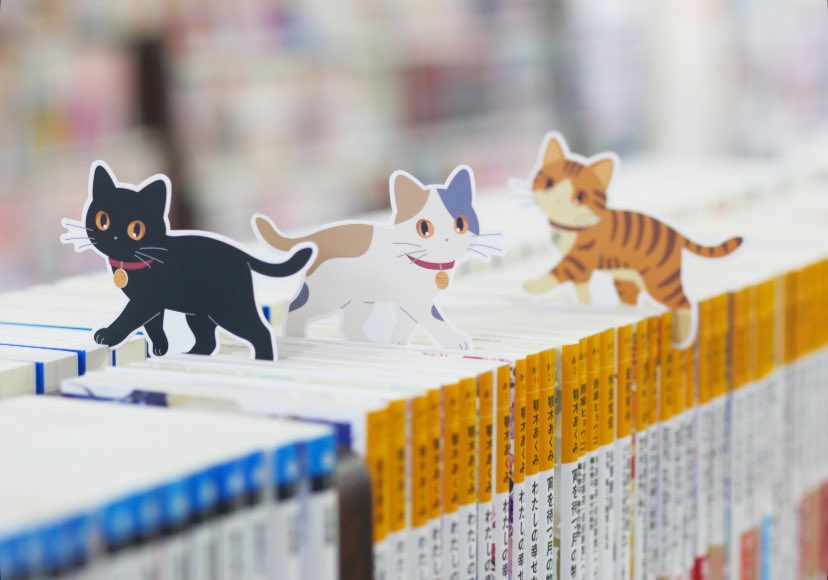 SeiwadoBooks's tweet photo. 2月の新作ブックカバーは、猫と本棚です😆
猫の日まで待ちきれず..
2月2日から配布スタートします！
阪神百貨店さんでのポップアップでは、とら猫柄を限定販売します🤭
お楽しみに！ https://t.co/5j3I99QdX8