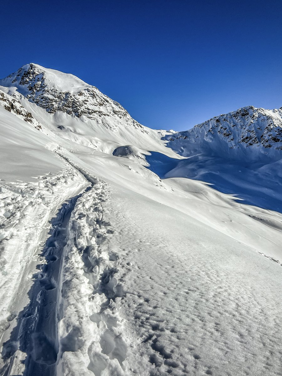 bergwelt_me's tweet photo. Unten Grau, oben Wow! 🤩 Während im Flachland der Nebel drückt, präsentiert sich das #Engadin in perfektem Winterkleid: Frischer #Schnee, blauer Himmel und eine Spur, die nur in eine Richtung führt – nach oben! 🏔❄☀️ 

#Bergwelt #Schweiz #Graubünden #Winter #BluebirdDay https://t.co/0MQyZbscPC