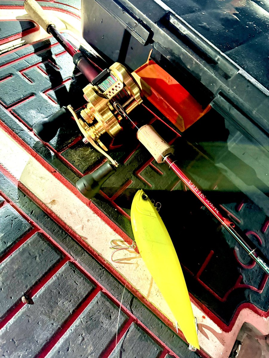 まいまい (@mai728xx) / Posts / X