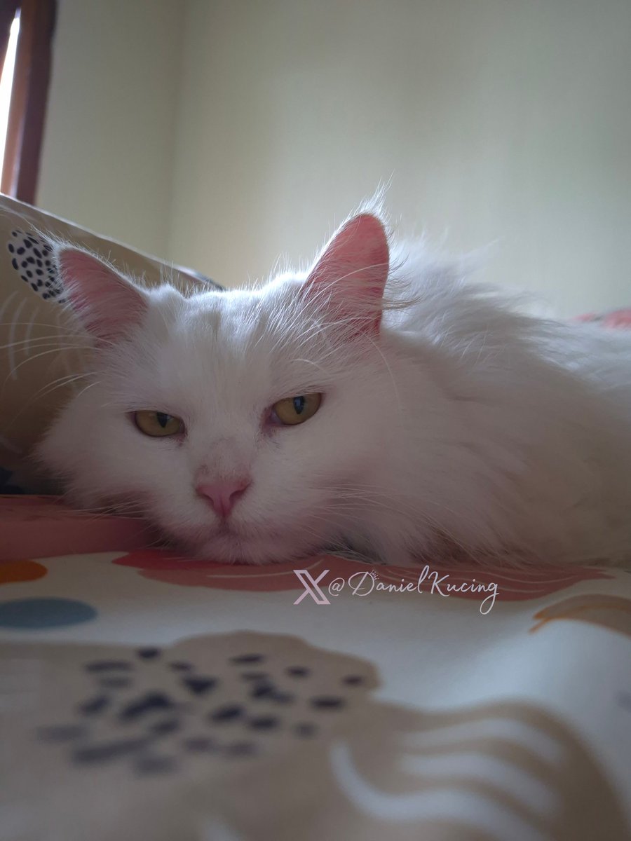 happy weekend all 🐾