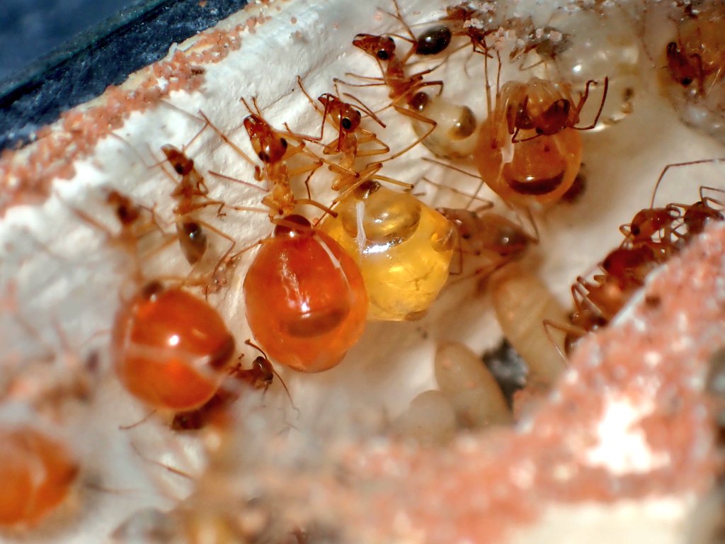 ありお手 (@c90UEGv3HUTi5oz) / Posts / X