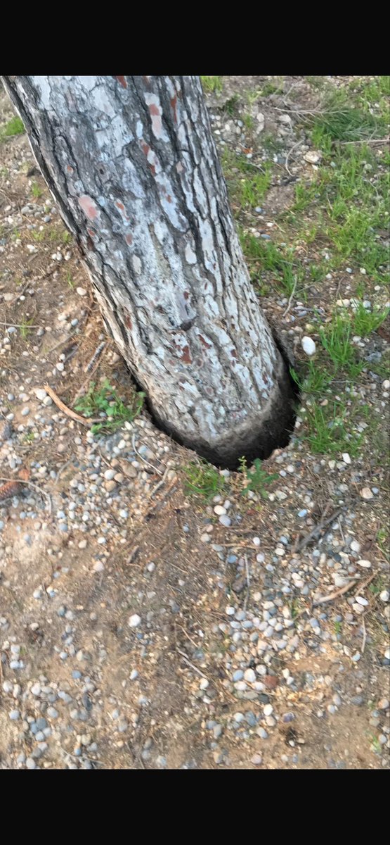 Jordi Garcia 🌐 tweet media