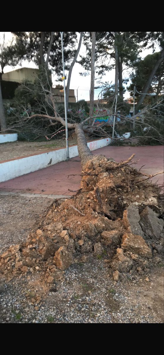 Jordi Garcia 🌐 tweet media