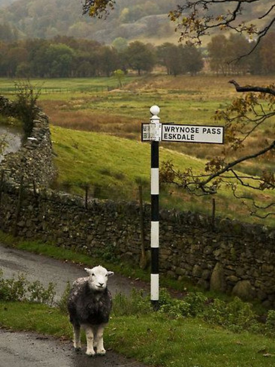 MozartCultures's tweet image. lake district, england