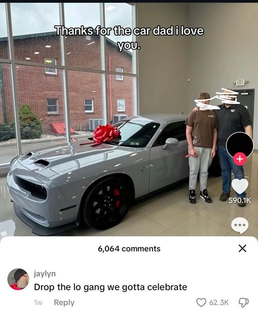 Braindead Bird App (@tragicbirdapp) on Twitter photo 