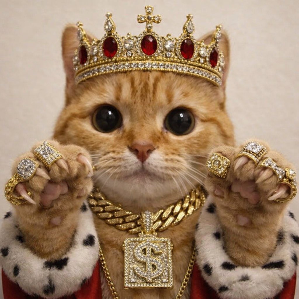 hemmie69117x's tweet image. Claude this, clawd that

Comfy in $clawed 🤝