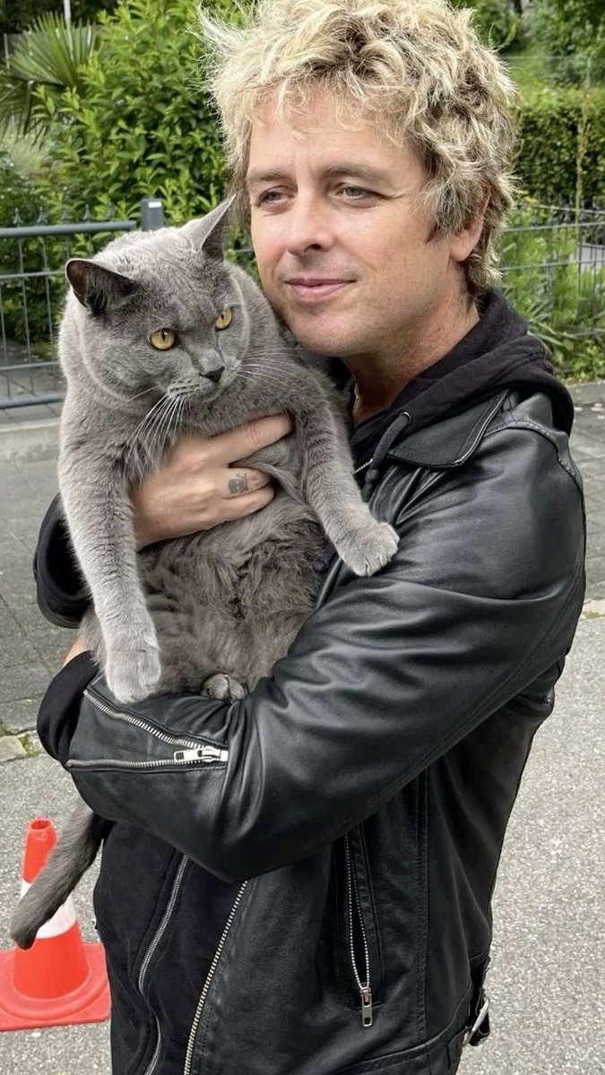 daily billie joe armstrong tweet media