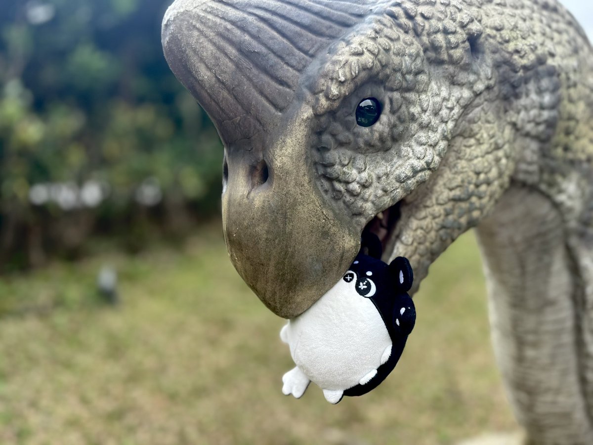 superdirtypool's tweet image. ㄇㄌ：太肥了會噎到