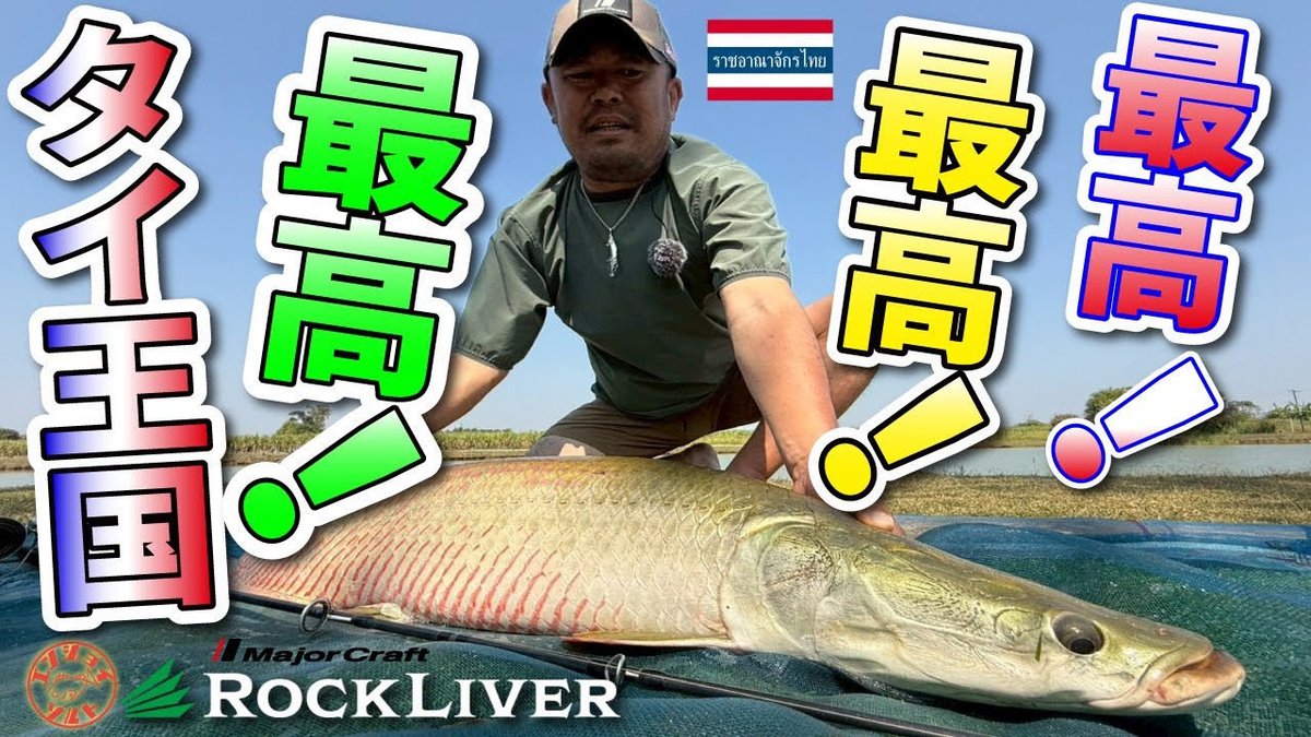 エンジョイソルト (@SefhCsoYYDDg1pR) / Posts / X