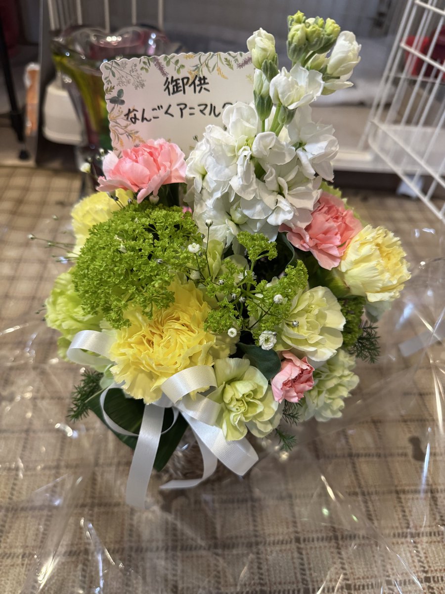 parry_border210's tweet photo. ココちゃんをお空に送って🌈
家に帰ったら、南国アニマルクリニックから、お花が届いてました。
ありがとうございます。 https://t.co/aHZyq7dhkY