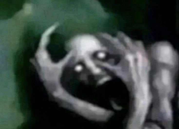 beeryarkive's tweet image. بنده وقتی کلمه‌ی اصلاح طلب و مذاکره رو میشنوم: