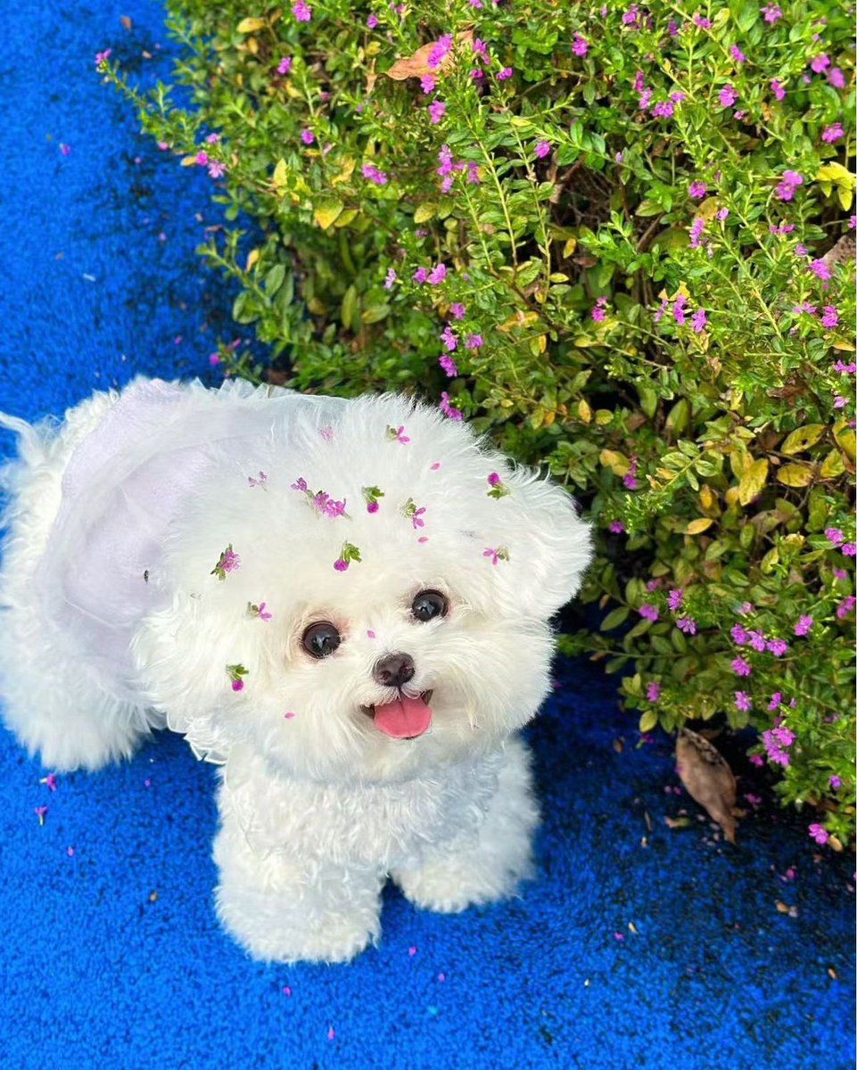 twaniimals's tweet image. 