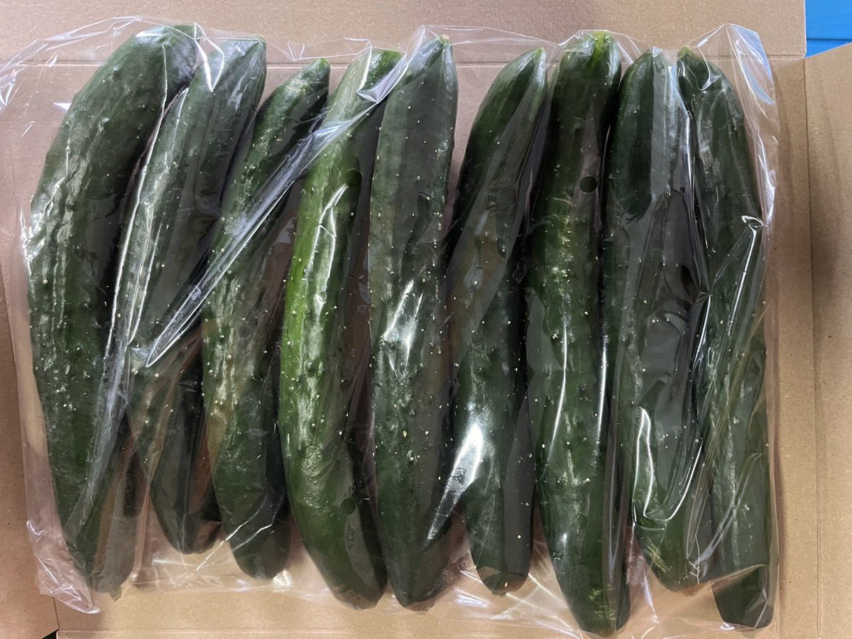SihbaSsb22866's tweet photo. 現在注文が殺到しており
一時的に大容量の出品を止めております
お日にちを頂いてもよろしい方はご連絡くださればご予約は可能ですので
お気軽にご連絡ください(^^)
#家庭菜園 #サラダ #ポケカ #野菜 #居酒屋 #SSBPRIDE
#自然 #旅行 #趣味 #ブラッキー #MEGAドリームex
#料理 https://t.co/QQXOoOqWer