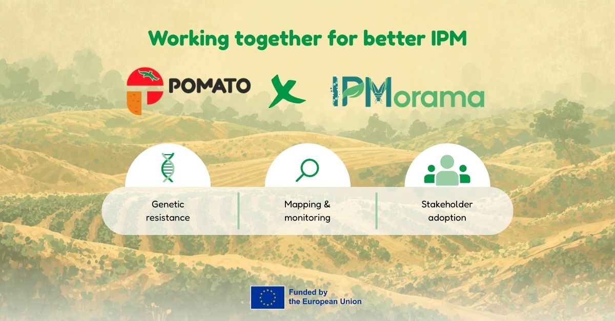 POMATO project tweet media