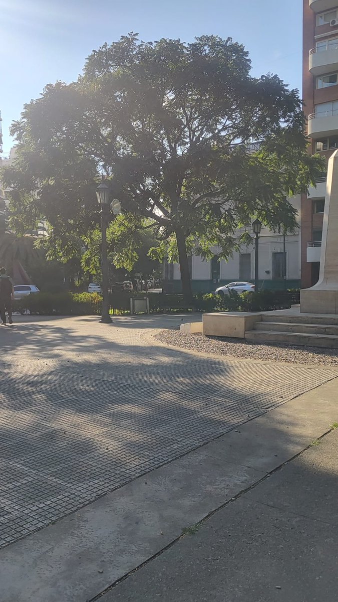 Buen dia, para ir dándole un "final" a esta historia,  hoy el banco de la plaza donde dormía Germán está vacío. 🥹