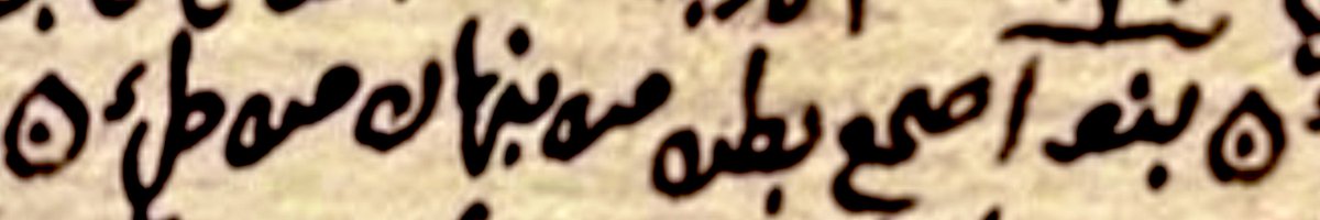 علي الصيخان tweet media