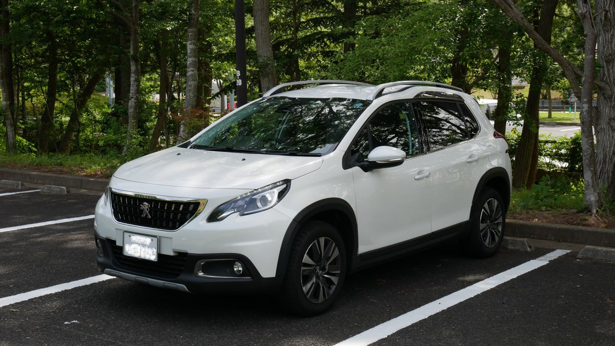 チラ@チラカーライフ フランス車系YouTuber tweet media