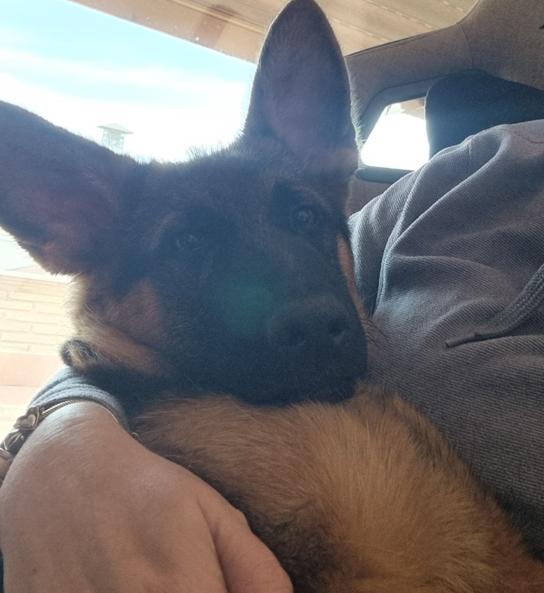 MrS. Criptosapo tweet media