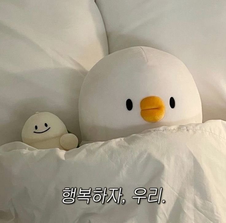 다음주 화요일에 큰 수술을 받을 예정입니다.
사실 너무 무서워요. 귀 수술, 머리쪽 수술인데
만약 다시는 못 들을까봐. 무섭습니다. 

그치만
꼭 무사히 잘 받고 올게요. 
마음 한번씩만 찍어주시면 감사하겠습니다!