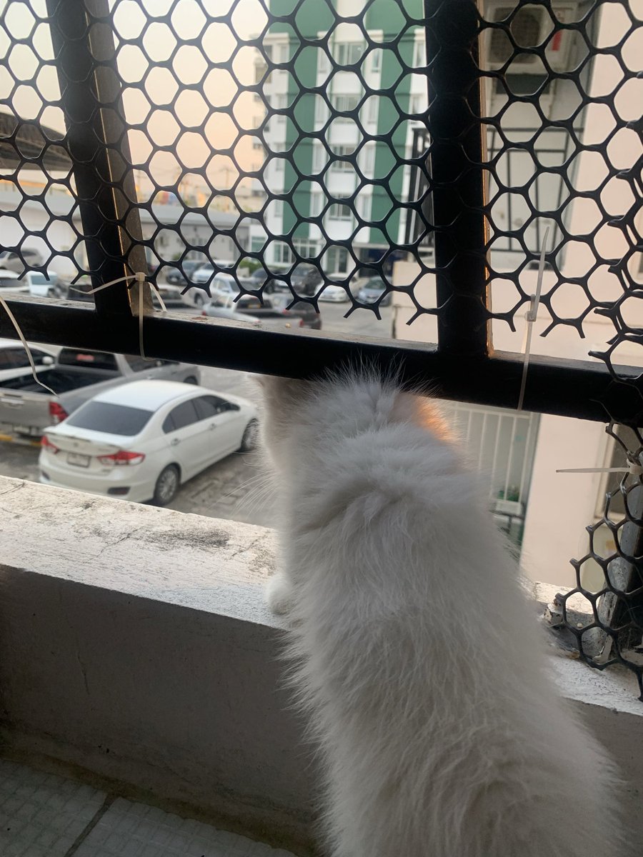 msom004's tweet photo. ดูวิวหรอเต็มใจ🤍
#บาง��ลา #บางพลี #สมุทรปราการ #กิตตินครเพลส https://t.co/6CEb5nLxEg
