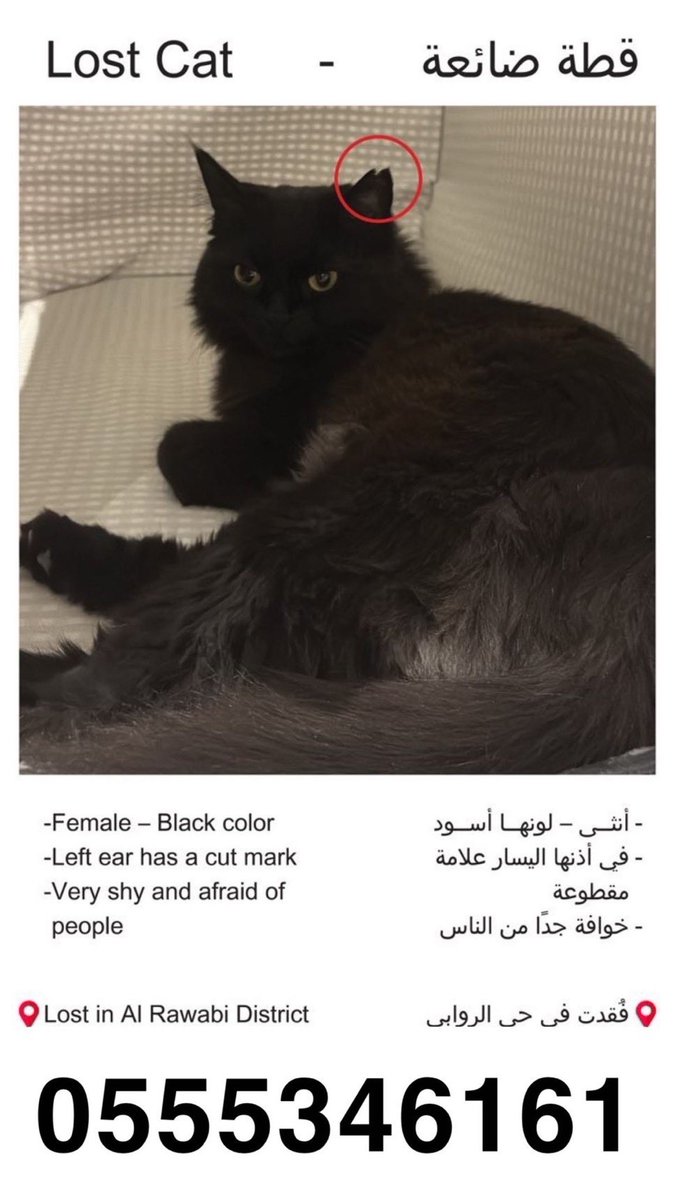 Engmanalrescuer tweet media