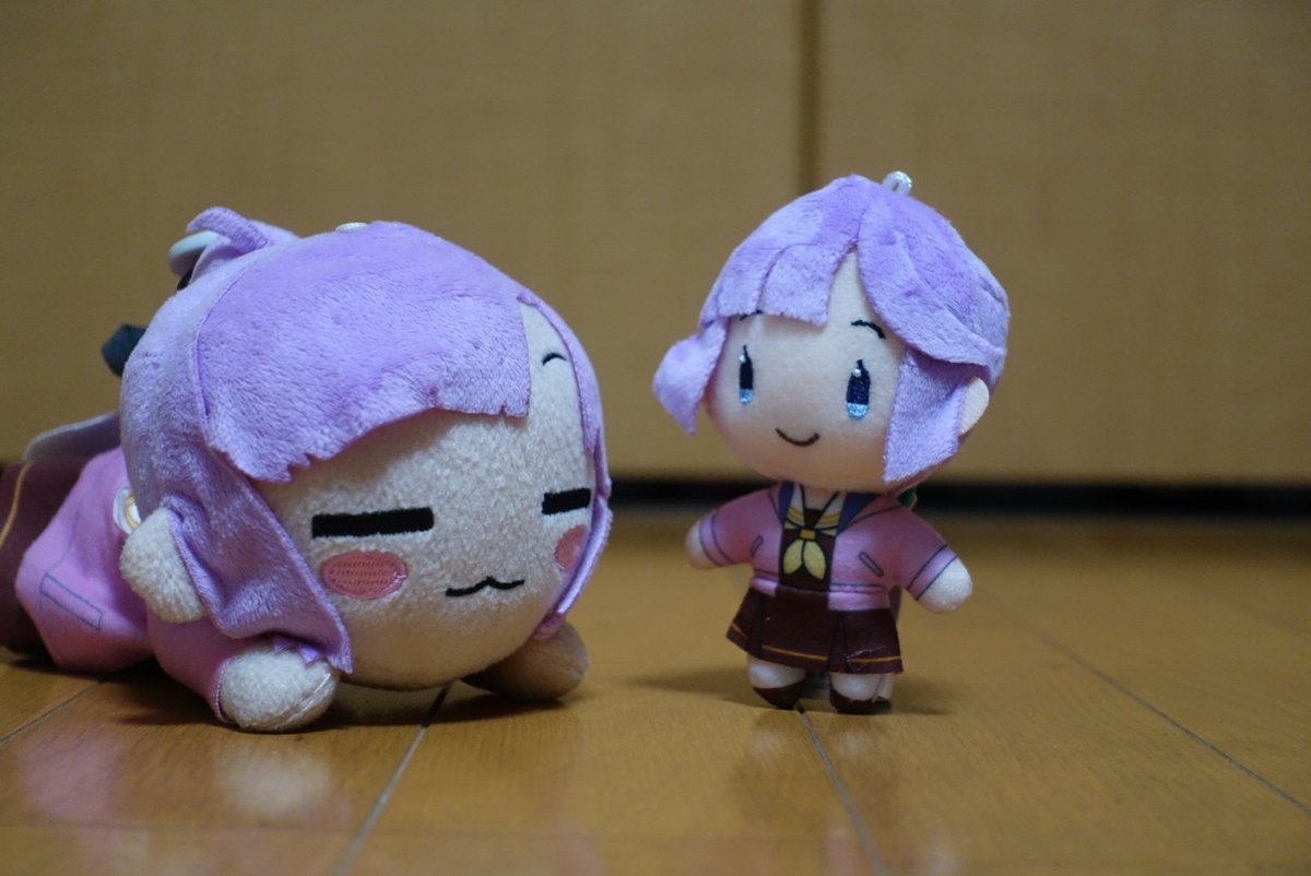 まよら　おすわりぬい服 白ベースx紫　白x紺　合計2点12cm⑥−A Post by 𝓬𝓾𝓻𝓻𝔂 on X: 瓜二つですね〜