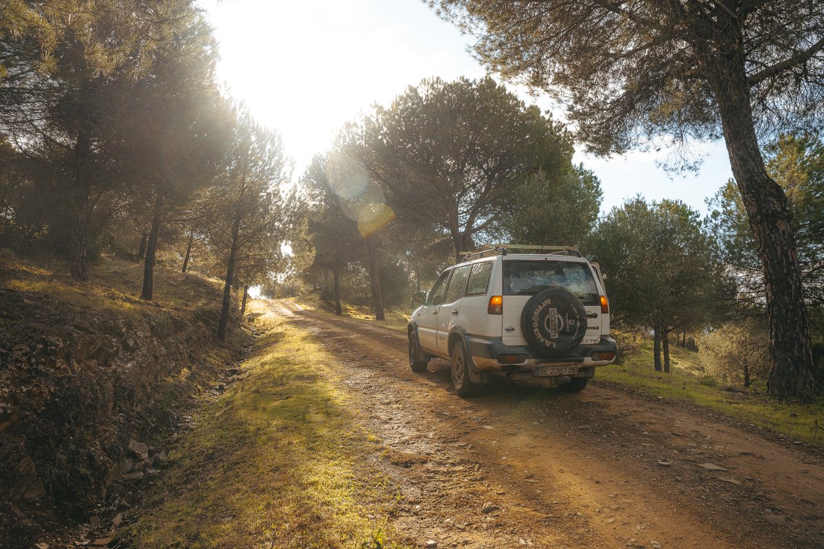 🔙𝗥𝗲𝗰𝗼𝗿𝗱𝗮𝗻𝗱𝗼 𝗷𝗼𝗿𝗻𝗮𝗱𝗮𝘀 𝗾𝘂𝗲 𝗱𝗲𝗷𝗮𝗻 𝗵𝘂𝗲𝗹𝗹𝗮 𝗷𝘂𝗻𝘁𝗼 𝗮 𝗻𝘂𝗲𝘀𝘁𝗿𝗼 𝗮𝗺𝗶𝗴𝗼 @pacoleoncz

El pasado 17 de enero, la Sociedad de Cazadores de Cazalla de la Sierra (Sevilla)celebró una montería social en pleno corazón de Sierra Morena.
#Mutuasport