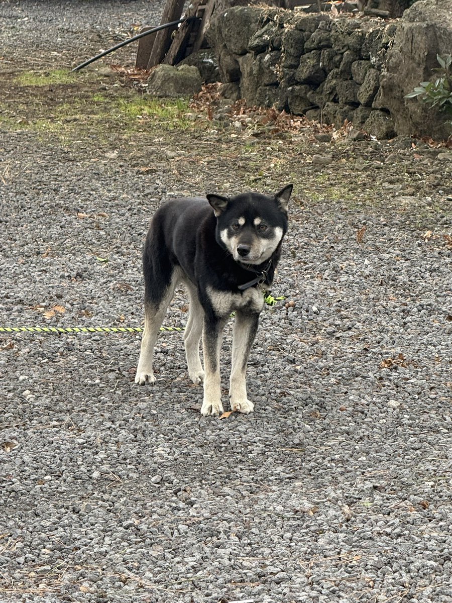 제주샌드위치일뜽!!!
(내맘속)