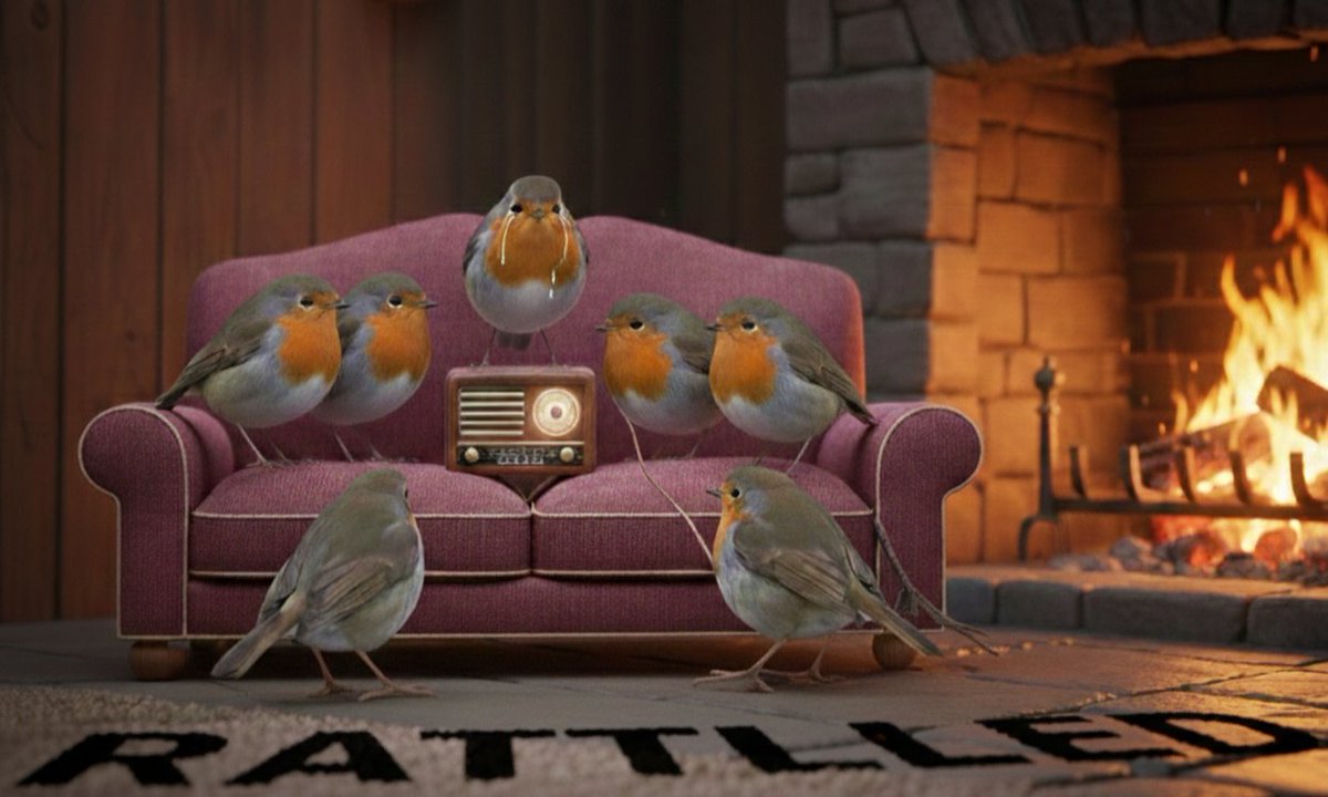 RattledRobin's tweet image. #RattledRobin