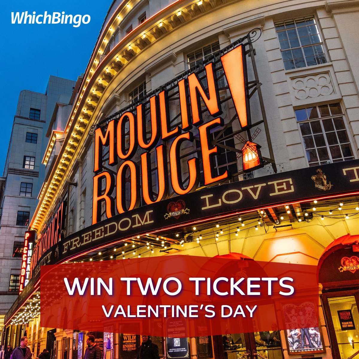 WhichBingo tweet media