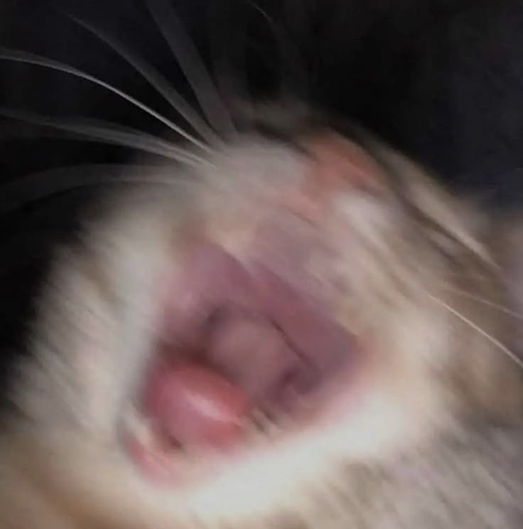 TOP 5 most searched people of the YEAR.
Not idol, not Asian, not artist.
PERSON.
Taehyung this is actually crazy???