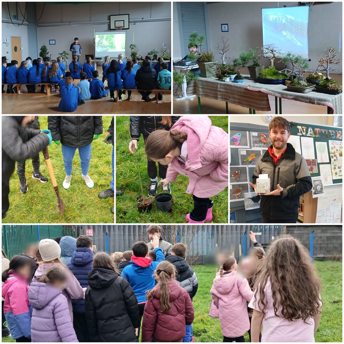 Native Woodland Trust tweet media