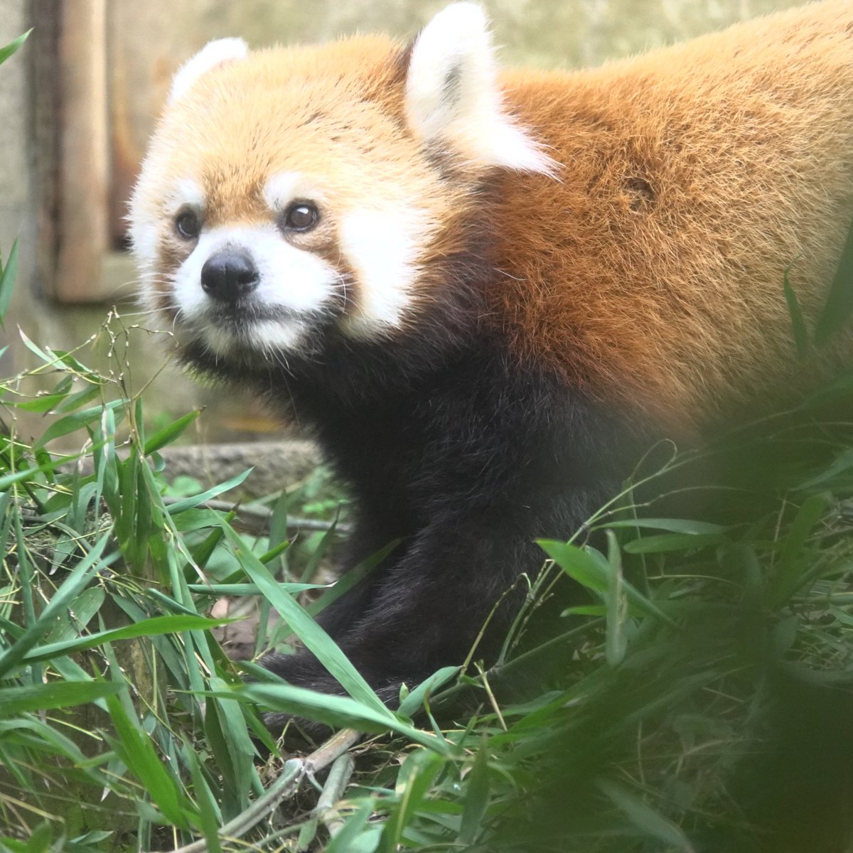 Uta (@MfNsTqCnIk2427) / Posts / X