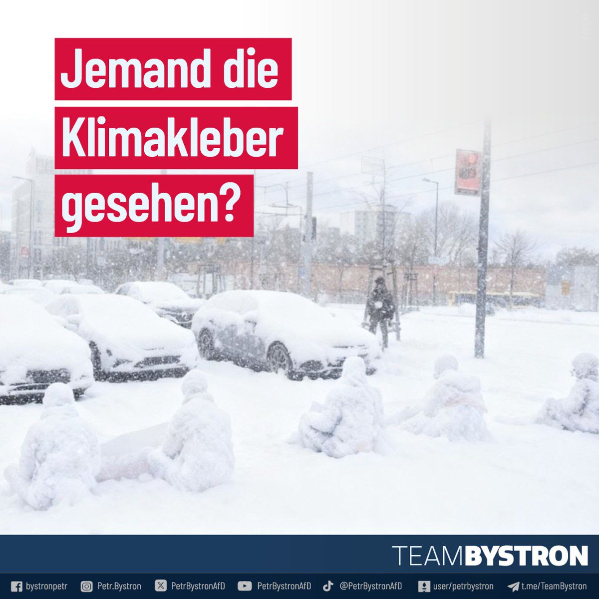 Petr Bystron tweet media