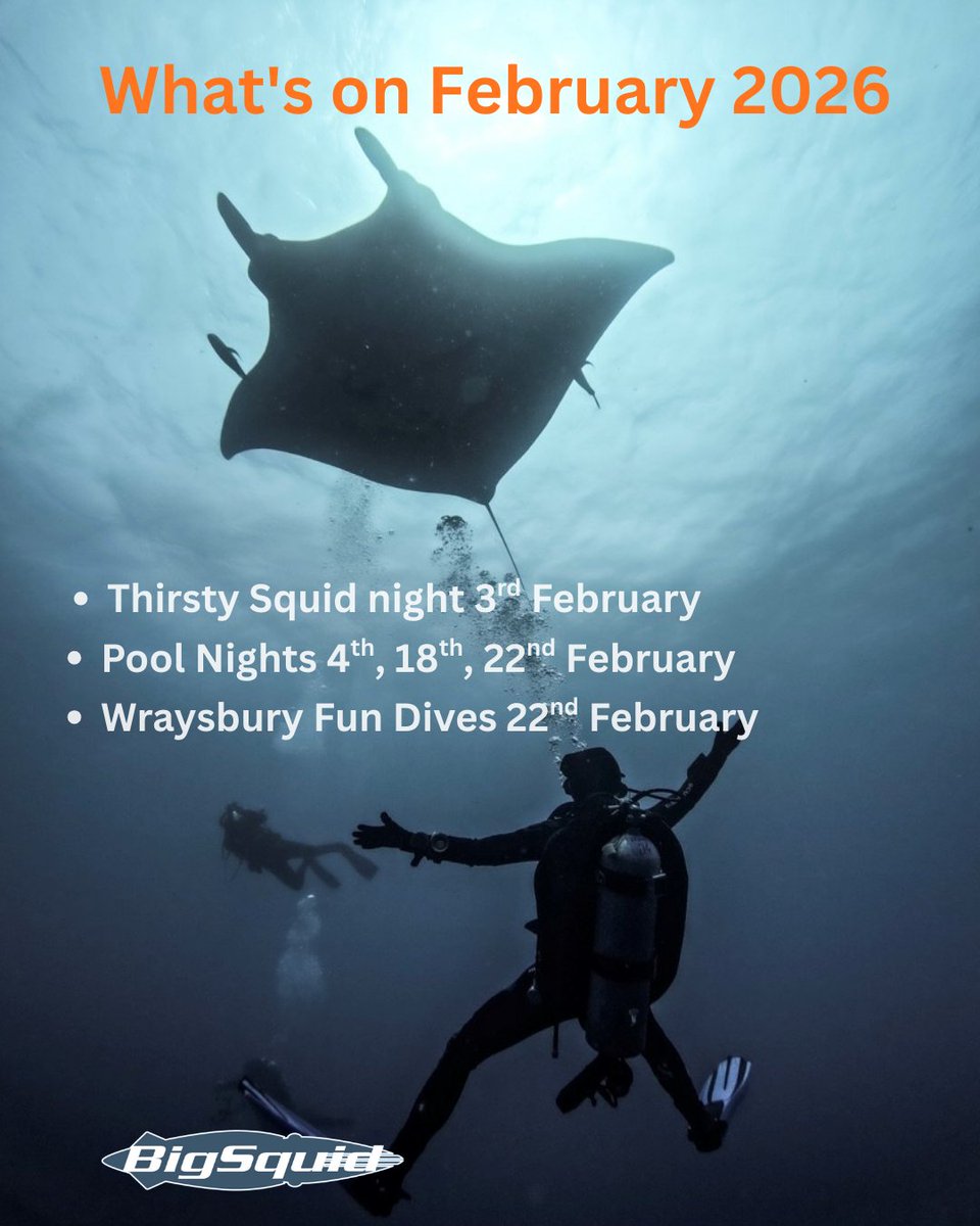 Big Squid, February 2026