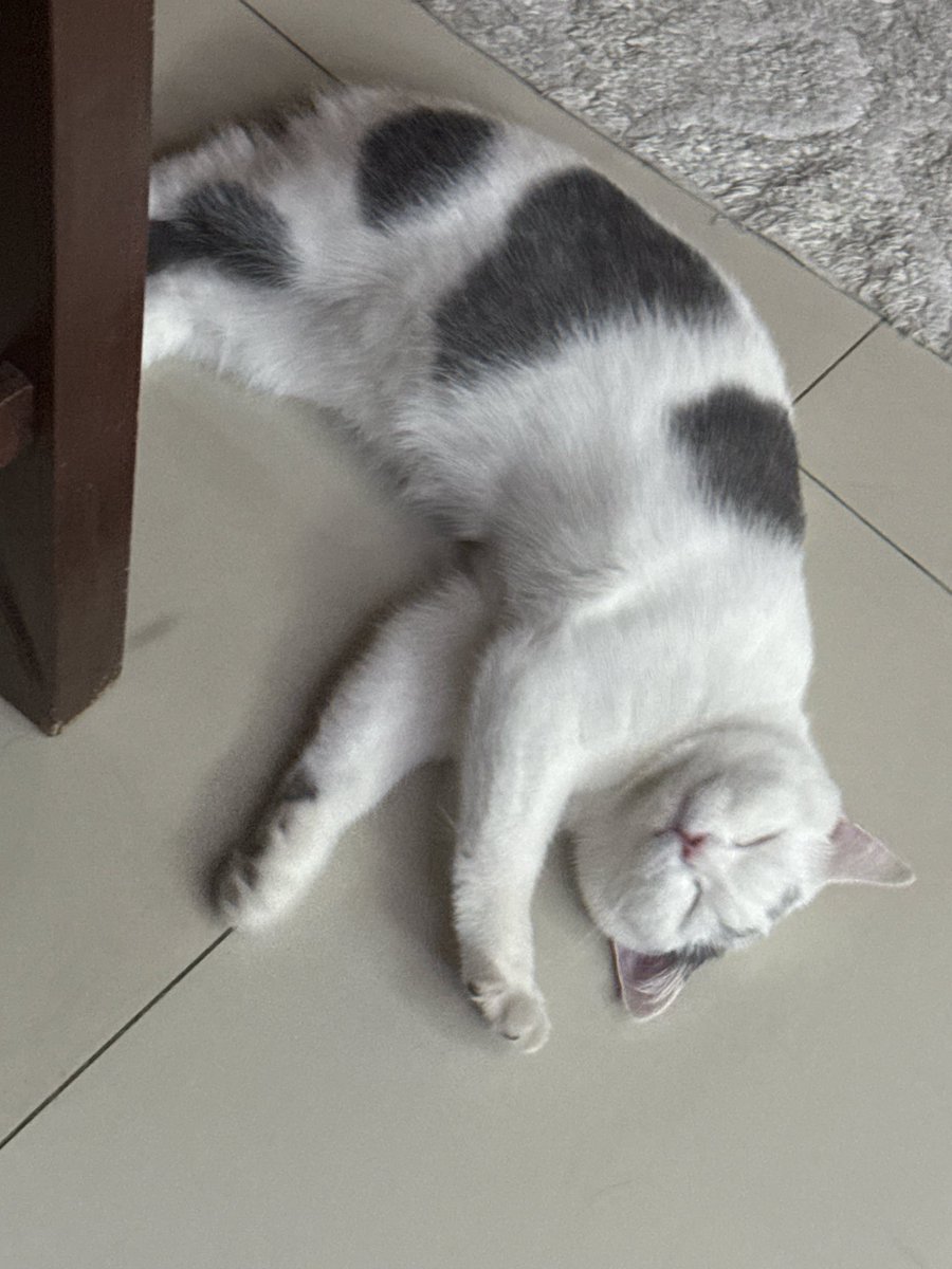 yoojeenoo's tweet image. เค้านอนเหนื่อยมาก