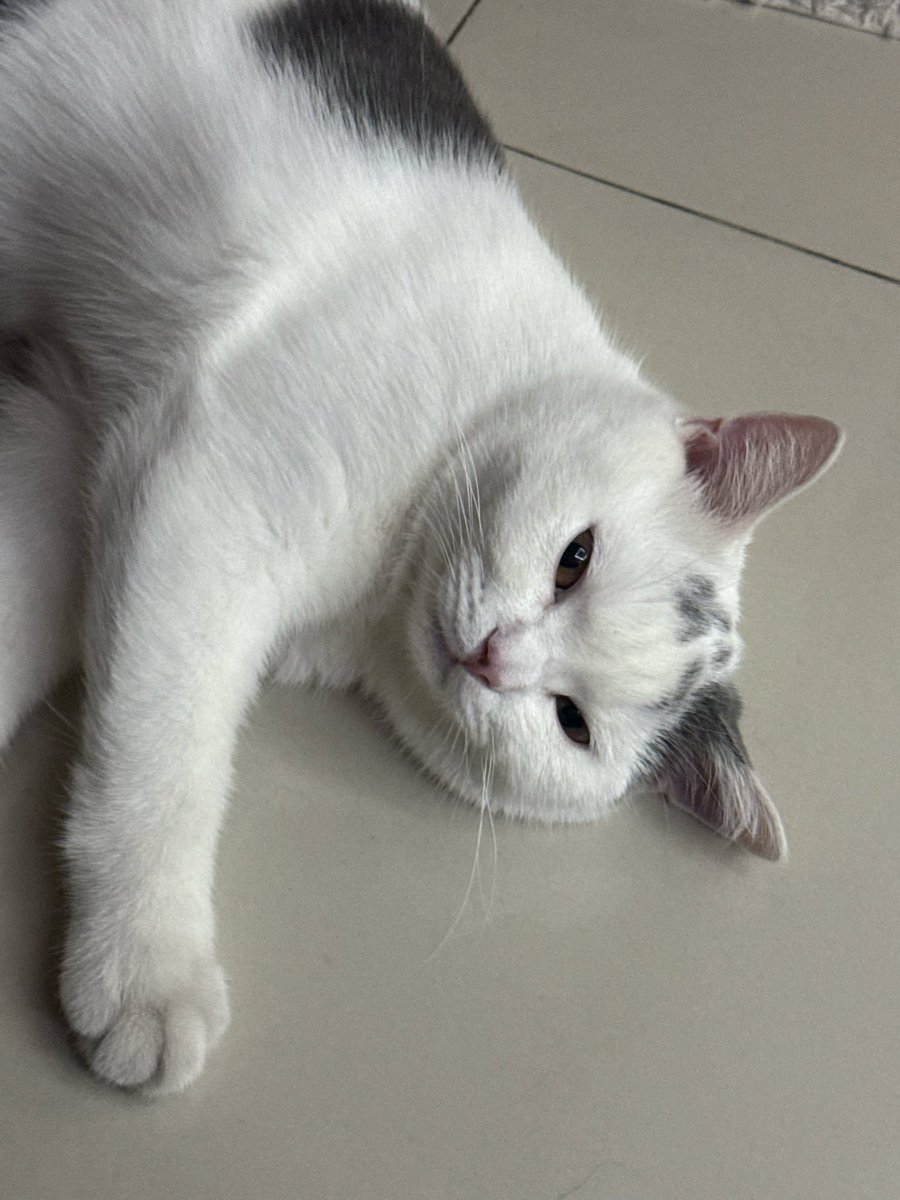 yoojeenoo's tweet image. เค้านอนเหนื่อยมาก