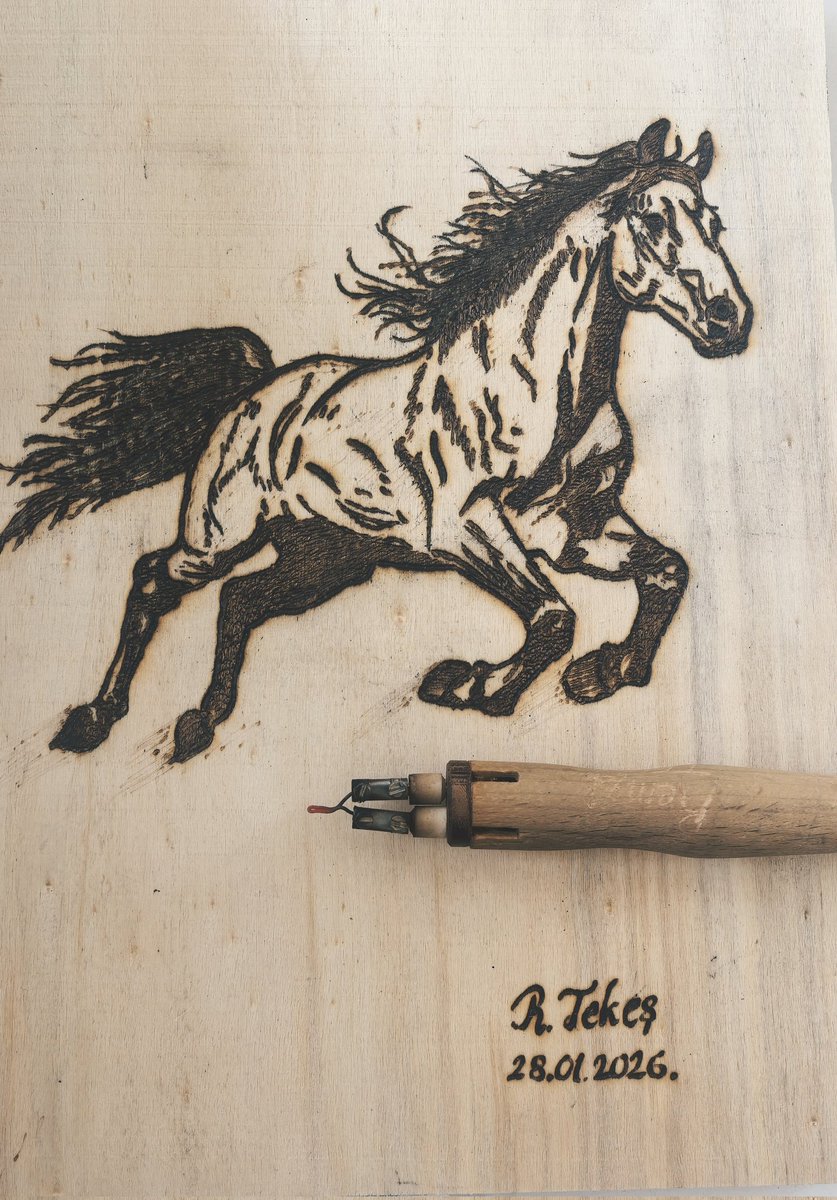 “Sakın bir çiviyi küçümseme. 
Bir çivi bir nalı, bir nal bir atı, 
bir at bir komutanı, bir komutan 
bir orduyu, bir ordu koca bir ülkeyi 
kurtarır.”