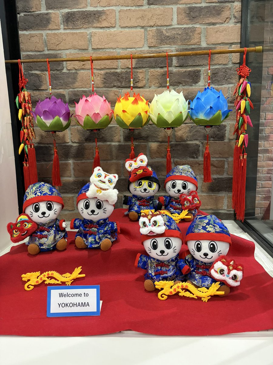 MNashino's tweet photo. 今日のキャティ
横浜春節祭バージョン
可愛い♡
#Caty
#ycat
#横浜春節祭 https://t.co/JmG5zbnVlW