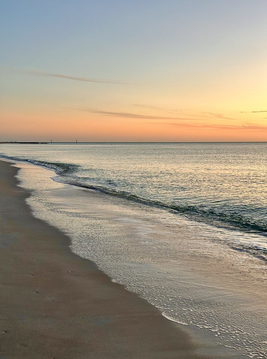 Mira🌺 tweet media