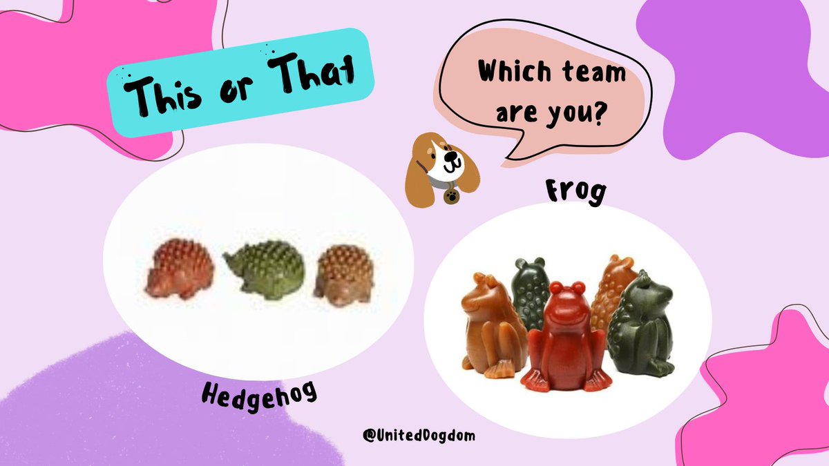 Frog fan or hedgehog enthusiast? #Antos #dogtreats are so #healthy for your #pup! 100% #Natural, vegetable based #treats that will keep them occupied for hours!🐶 buff.ly/QBJrDsj
.
#doglovers #dogsnacks #dogwalkers #dogchews #dogsoftwitter <a href="/dotty4paws/">Dotty4Paws</a> @thegooddogguide