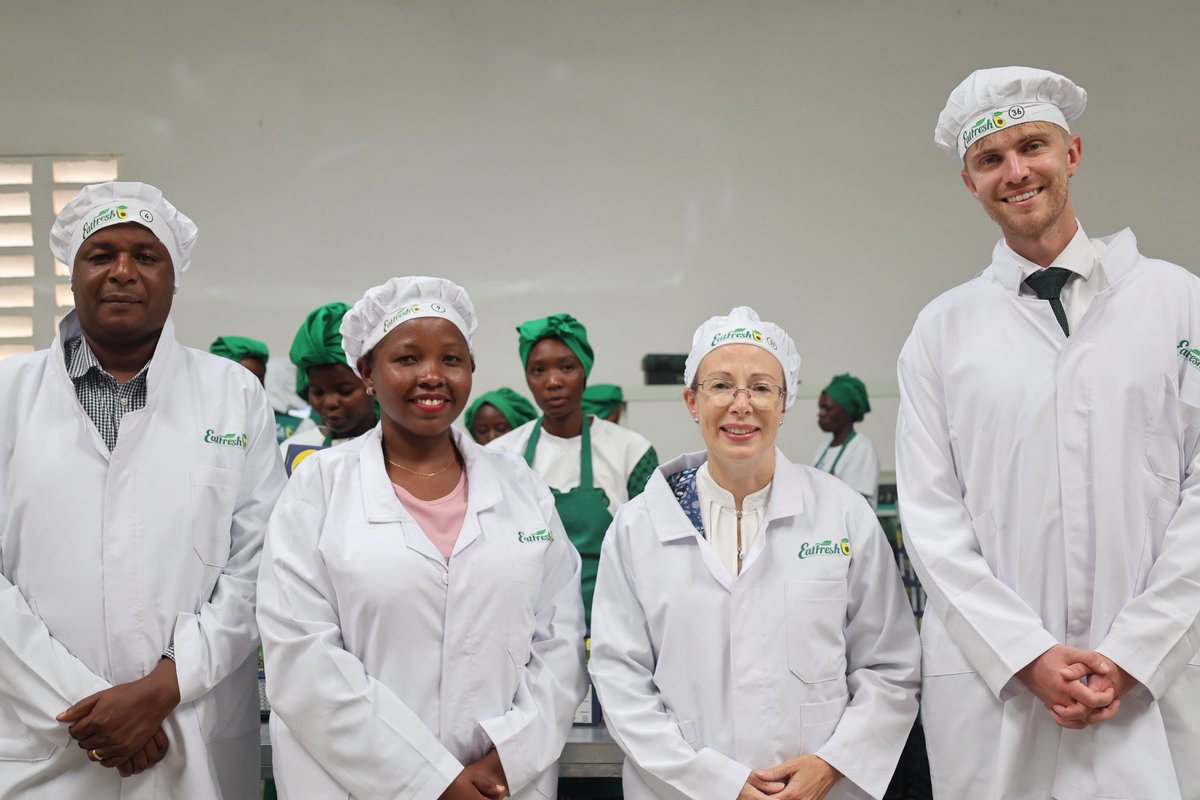 Marianne Young FCDO tweet media