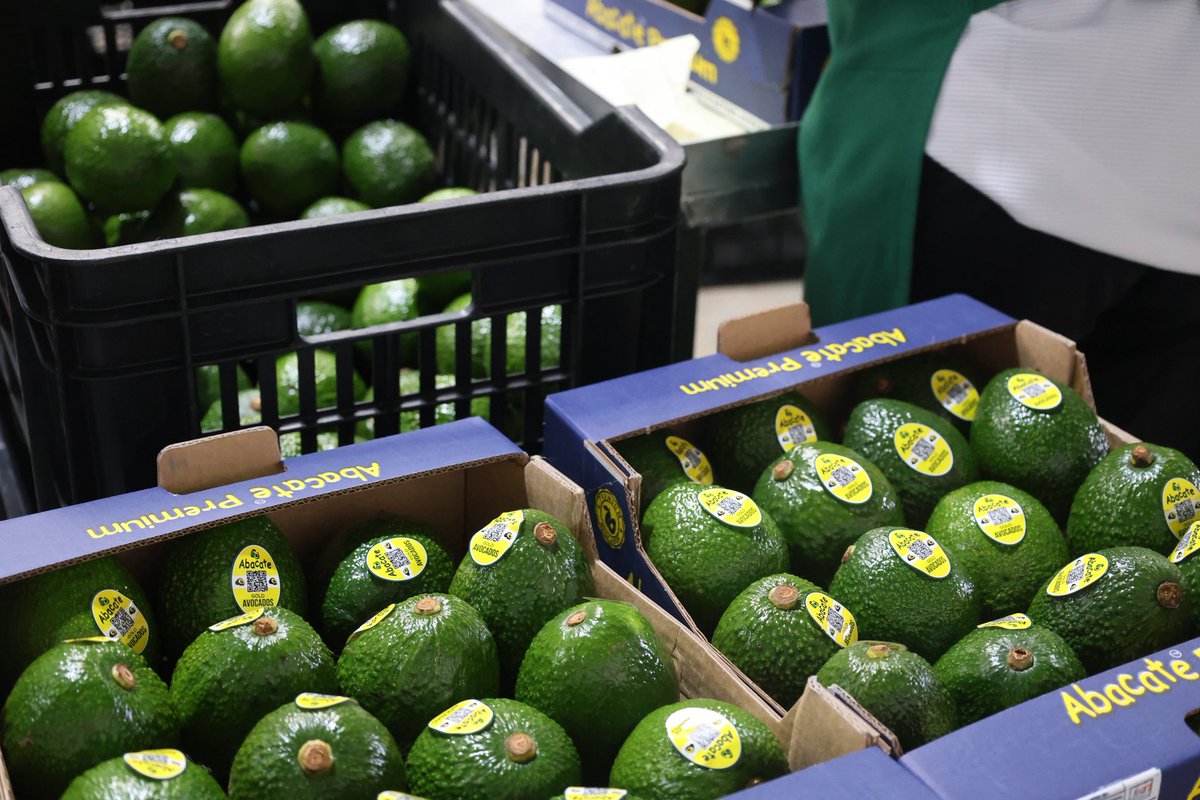 Marianne Young FCDO tweet media