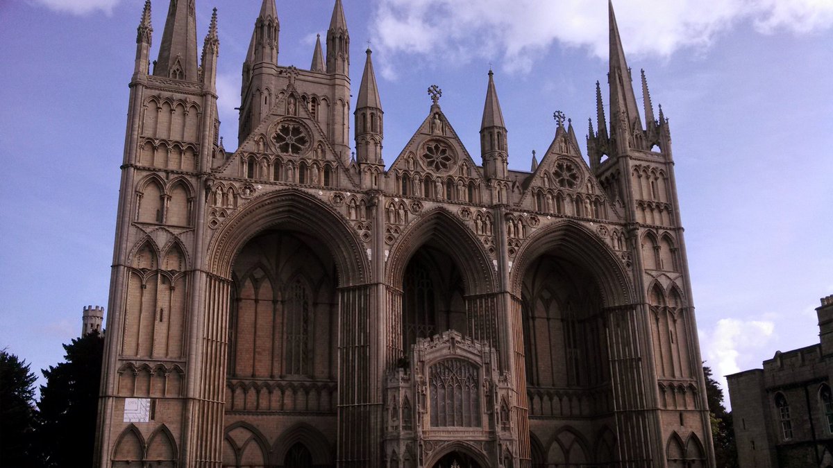 Susan Abernethy tweet media